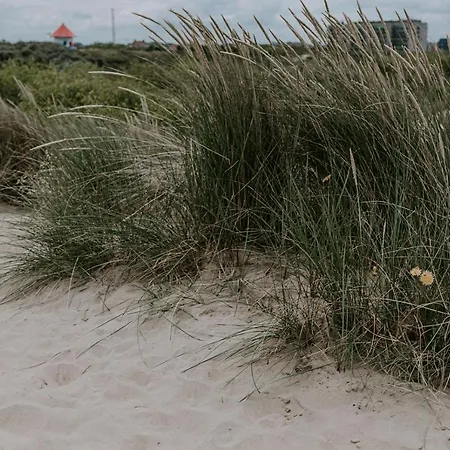 Lejlighed Beau Sejour