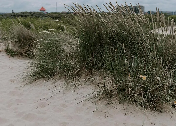 Lejlighed Beau Sejour